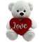 Belle White Teddy Bear 20cm with Red Love Heart Valentines Day Gift