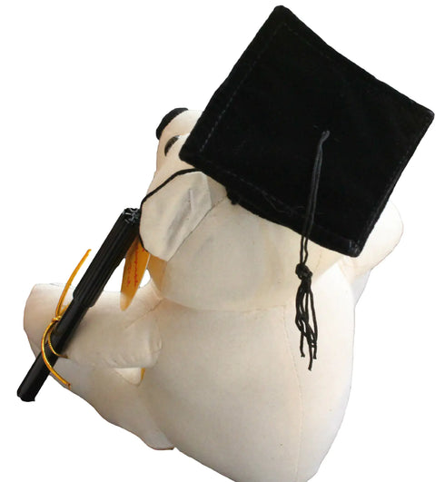 Congratulations Graduation Autograph Bear With Pen 20cm