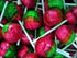Rosey Apple Lollipops 100 Pack 14g Each